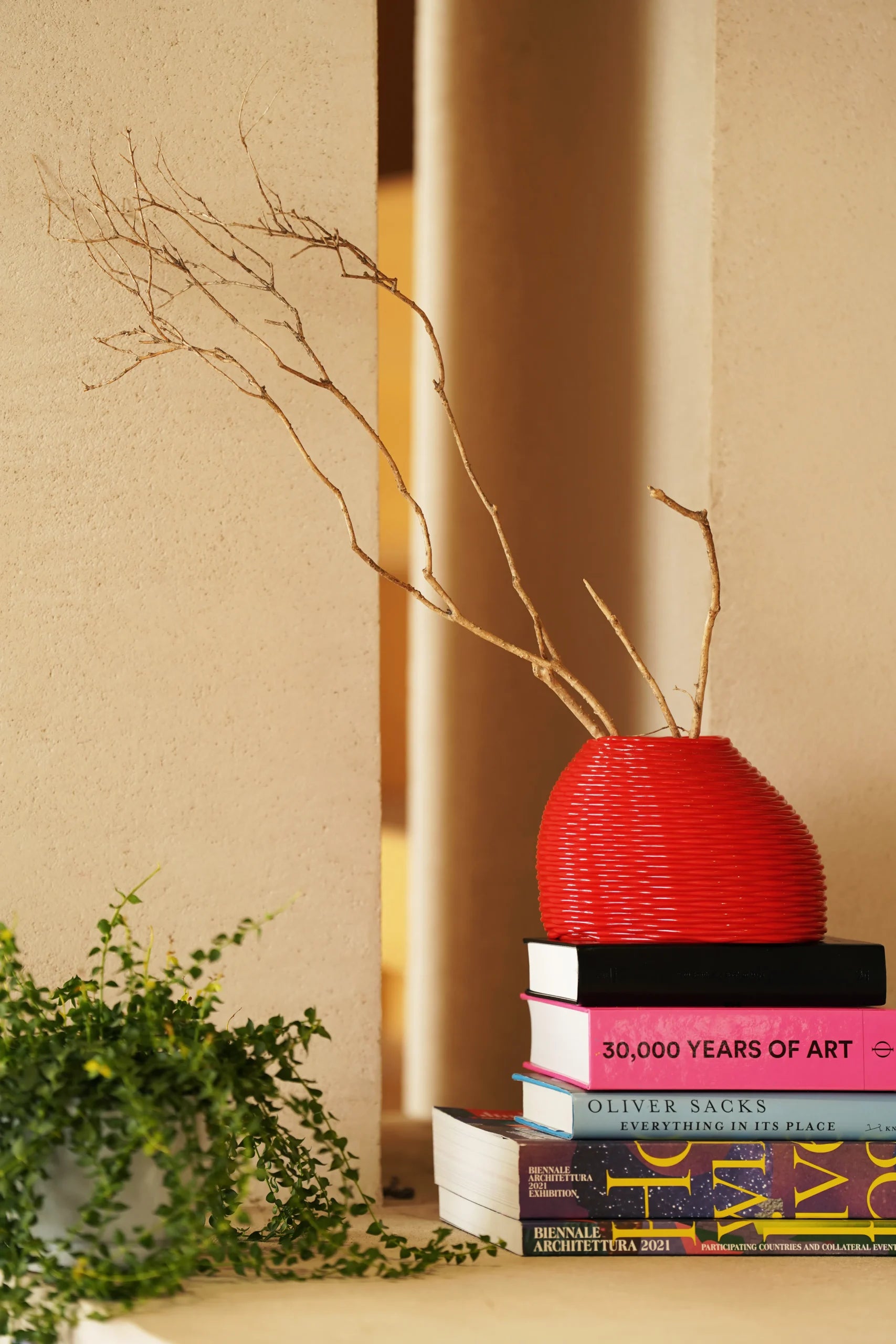 Fluffy Vessel image 0